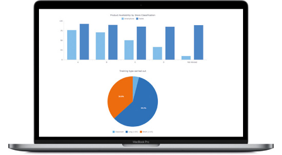 Laptop showing reports on TeamHaven website